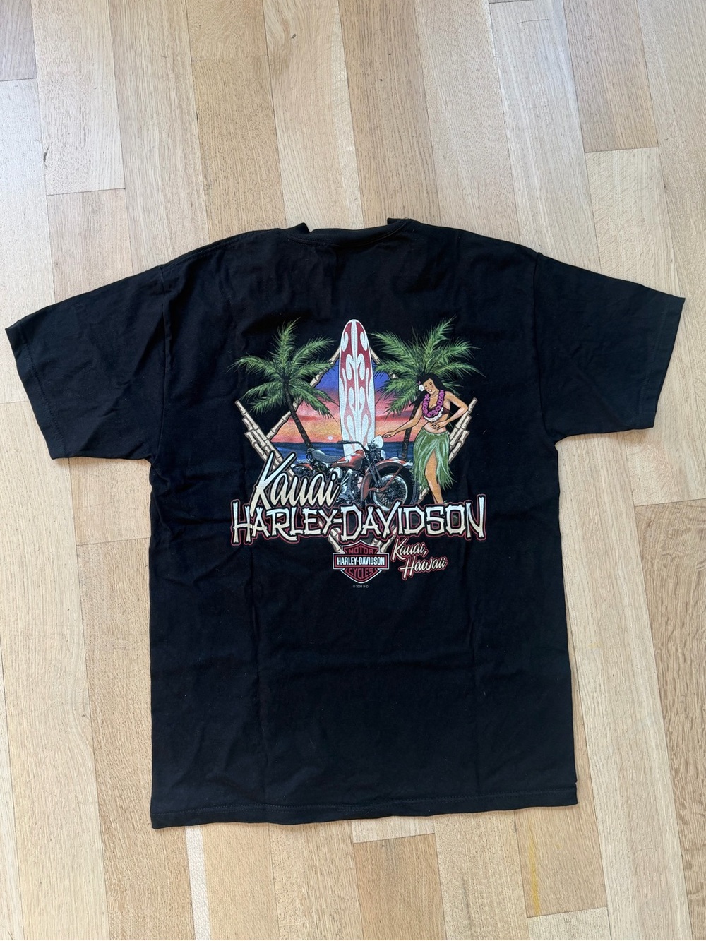 Harley-Davidson Black T-Shirt with Kauai Hawaii surfboard graphic in the back L